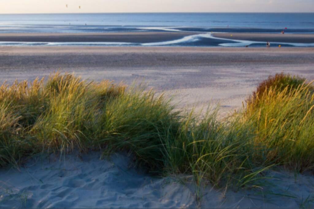 Studio Cosy En Bord De Mer Dunkirk Exteriér fotografie